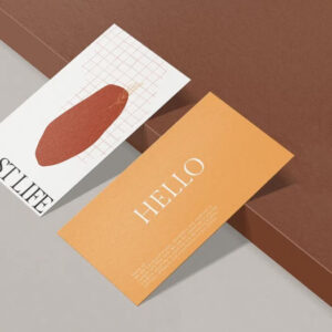 Colourful Wildflower Garden